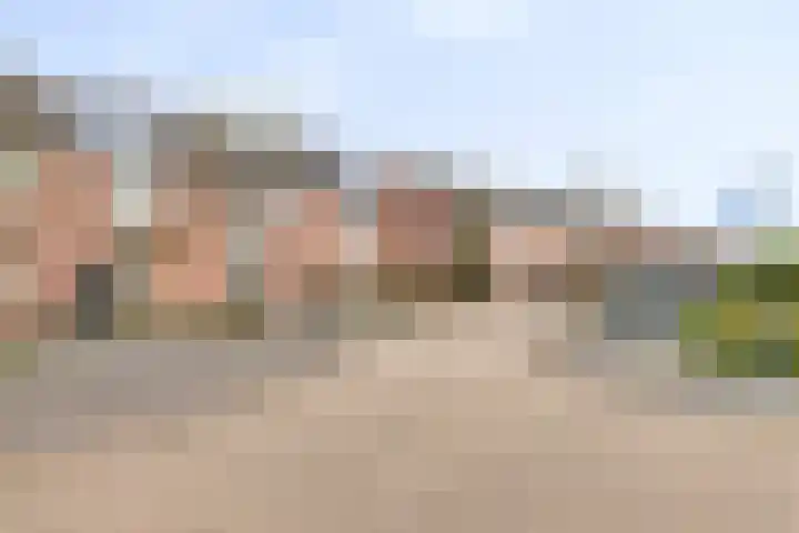 Griegplantsoen 45 Barendrecht thumbnail 4