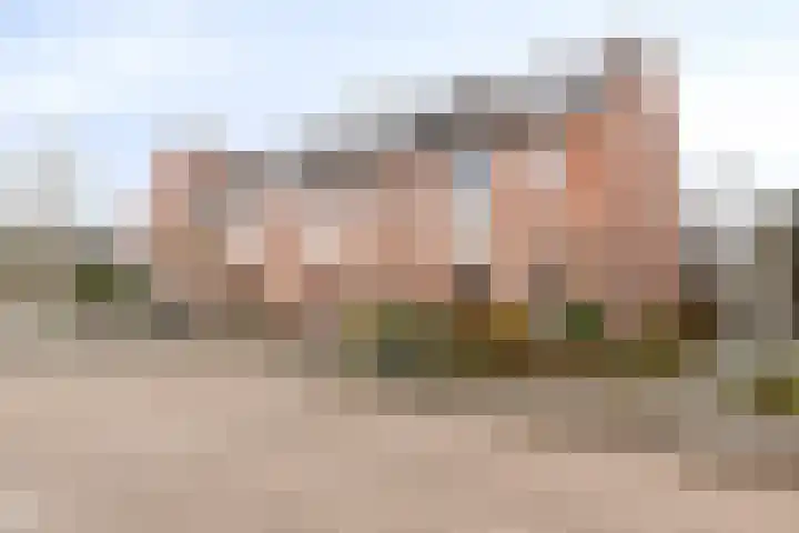 Griegplantsoen 45 Barendrecht thumbnail 6
