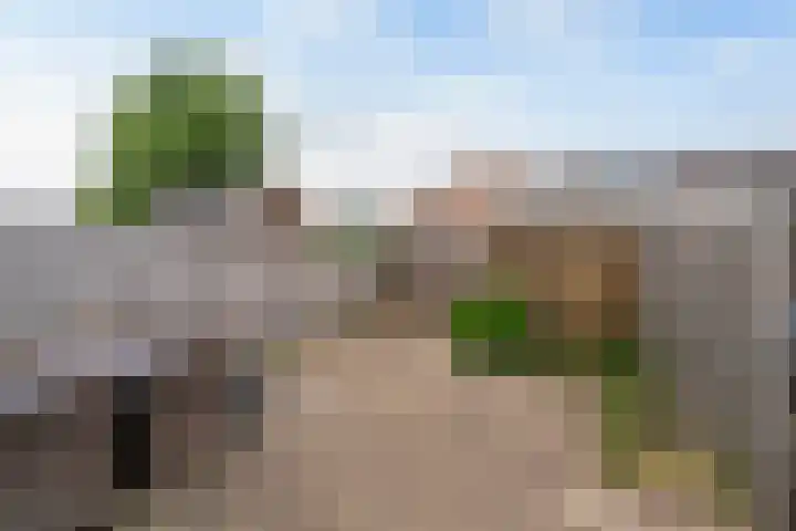 Griegplantsoen 49 Barendrecht thumbnail 19