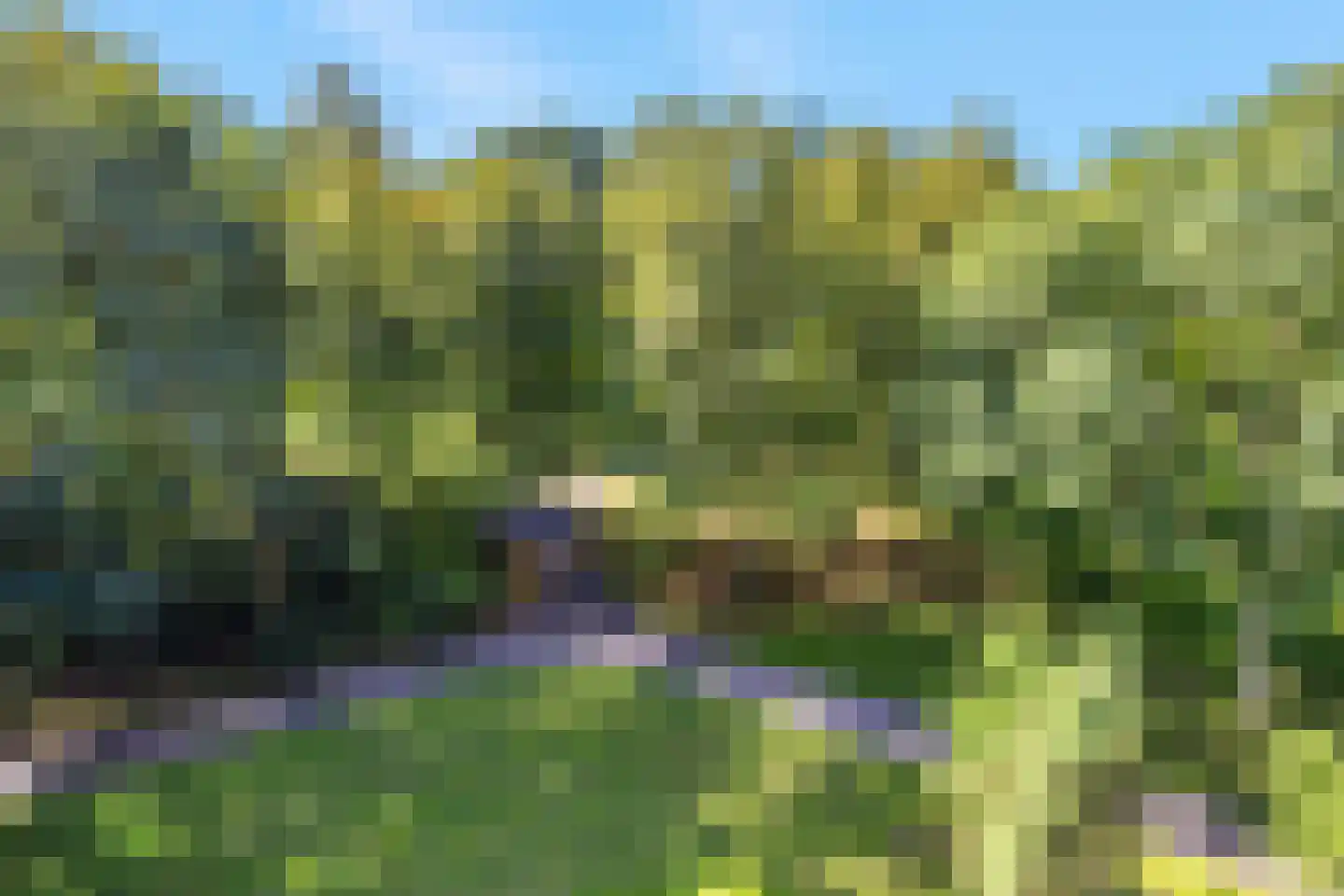 Griegplein 126 Schiedam thumbnail 19