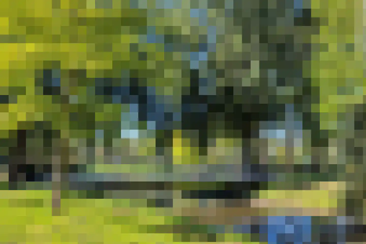 Griegplein 126 Schiedam thumbnail 39