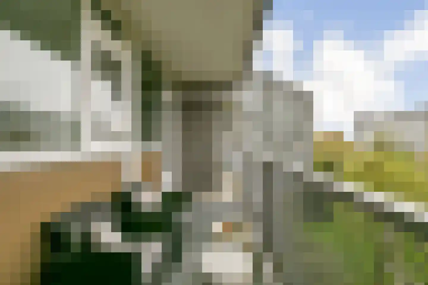Griegplein 141 Schiedam thumbnail 10