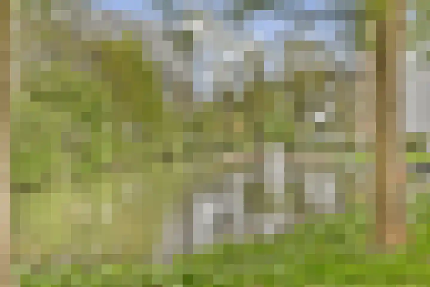 Griegplein 141 Schiedam thumbnail 24