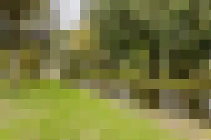 Griegplein 151 Schiedam thumbnail 27