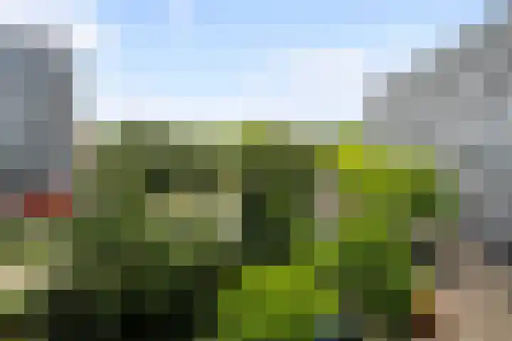 Griegplein 152 Schiedam thumbnail 30