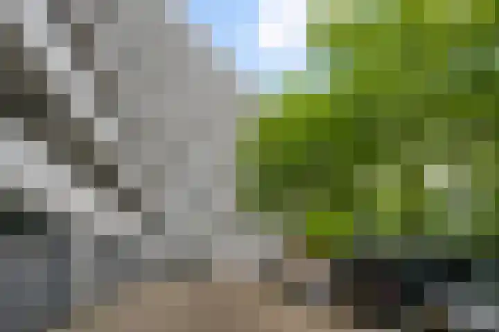 Griegplein 152 Schiedam thumbnail 31