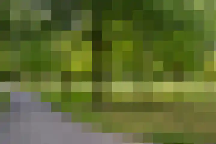 Griegplein 152 Schiedam thumbnail 32