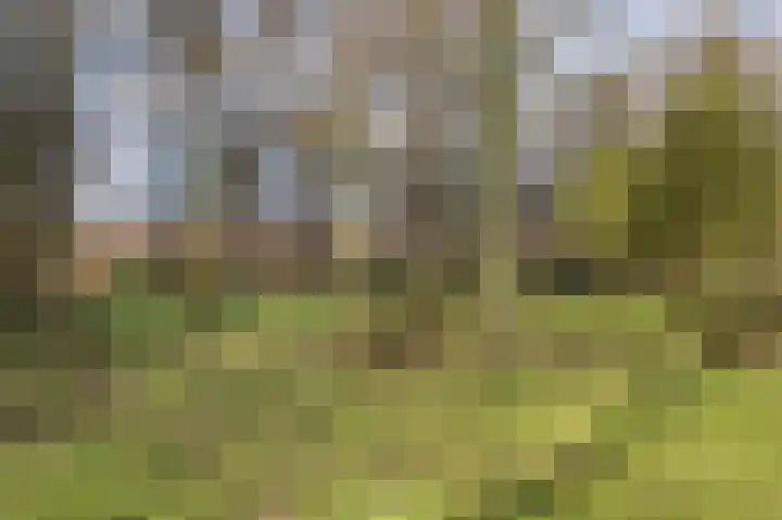 Griegplein 163 Schiedam thumbnail 31