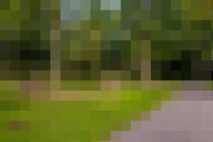 Griegplein 195 Schiedam thumbnail 46