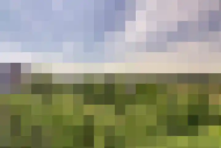 Griegplein 232 Schiedam thumbnail 24