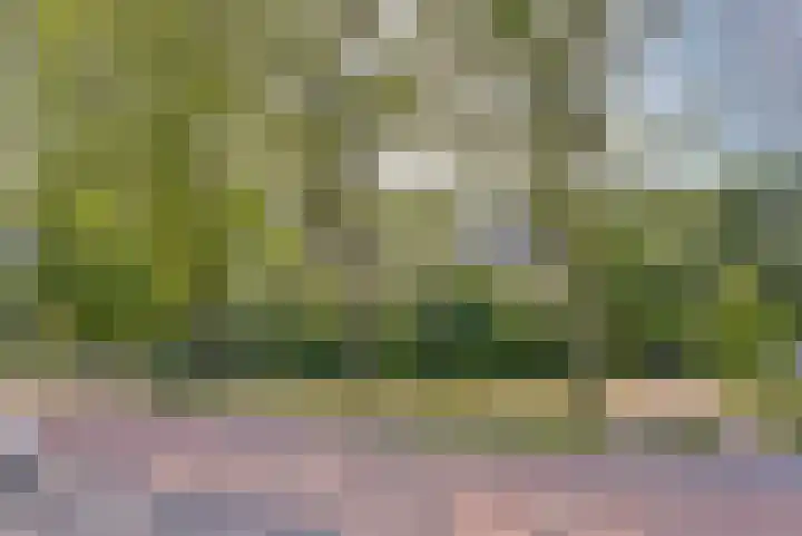 Griegplein 232 Schiedam thumbnail 25