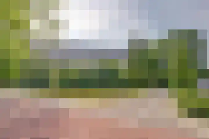 Griegplein 232 Schiedam thumbnail 27