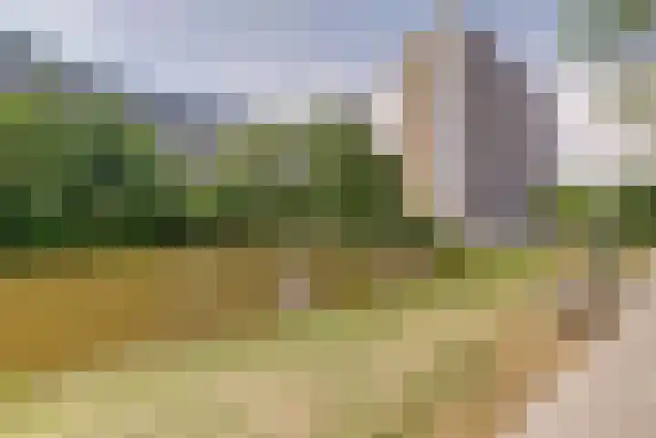 Griegplein 232 Schiedam thumbnail 28