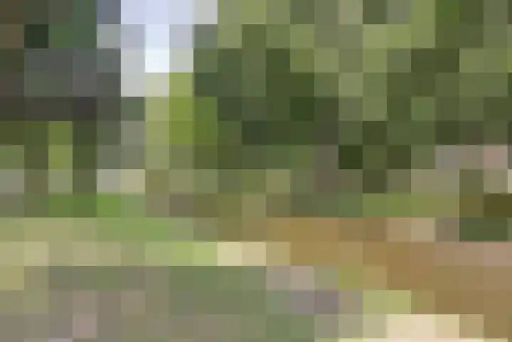 Griegplein 232 Schiedam thumbnail 29