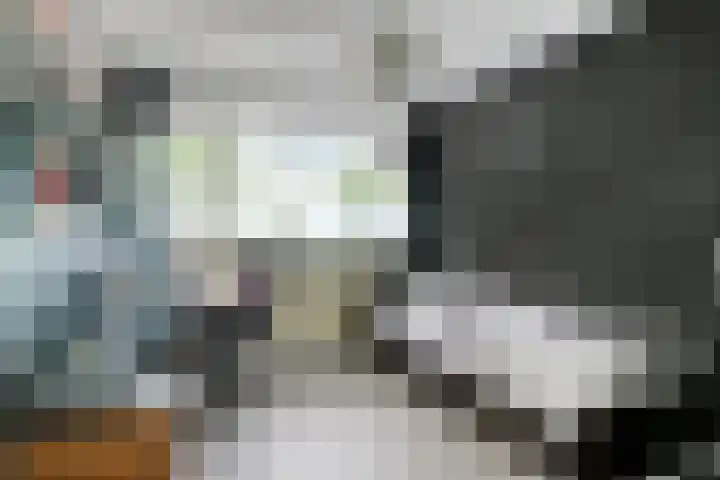 Griegplein 45 Schiedam thumbnail 21