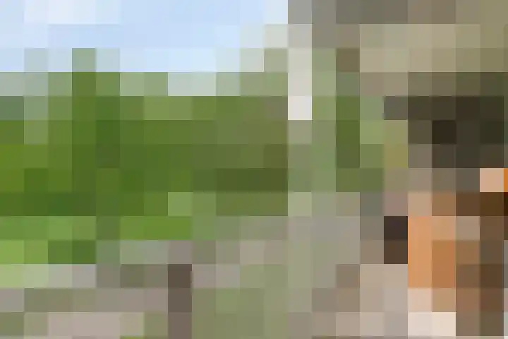 Griegplein 45 Schiedam thumbnail 26