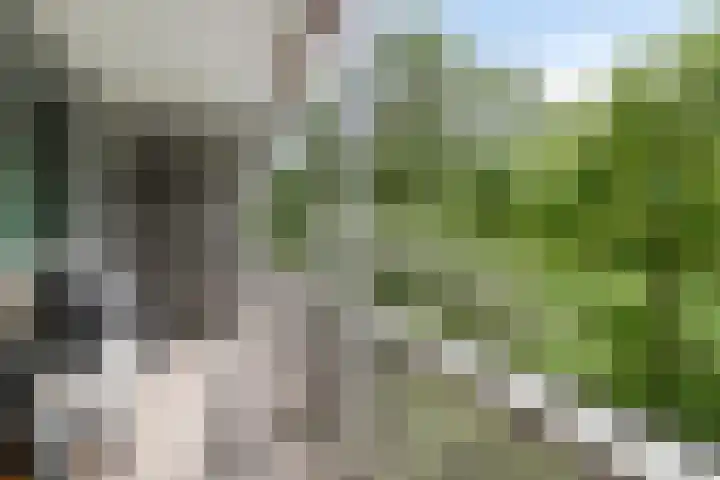 Griegplein 45 Schiedam thumbnail 27