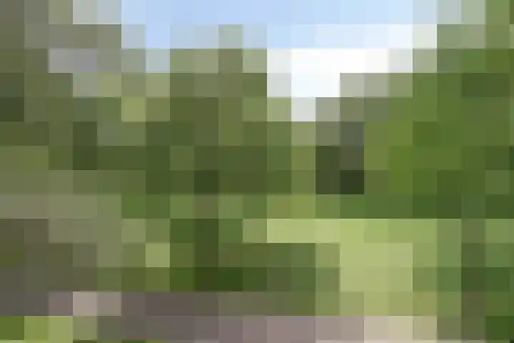 Griegplein 45 Schiedam thumbnail 28