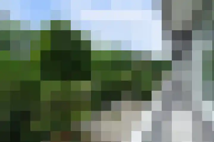 Griegplein 53 Schiedam thumbnail 8