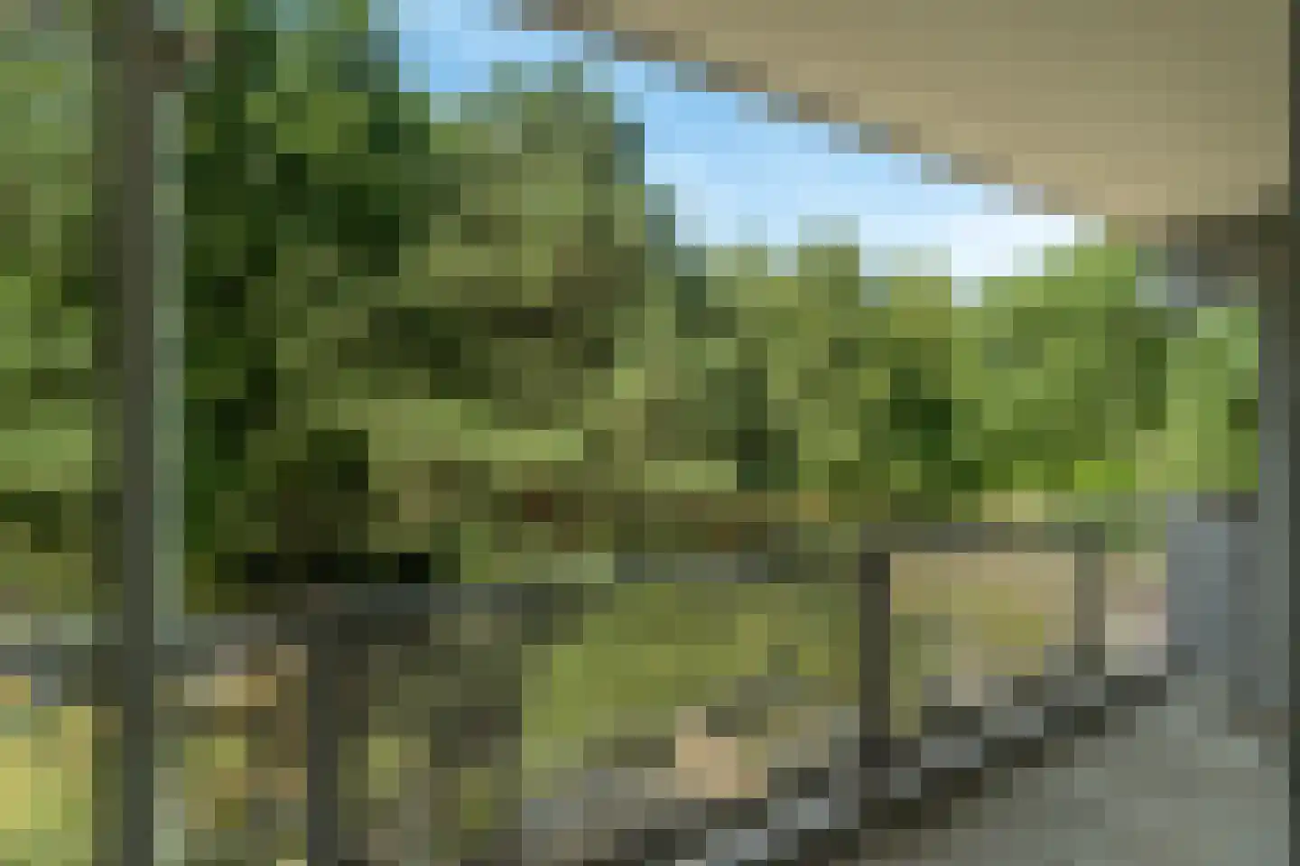 Griegplein 60 Schiedam thumbnail 12