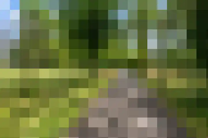 Griegplein 67 Schiedam thumbnail 12