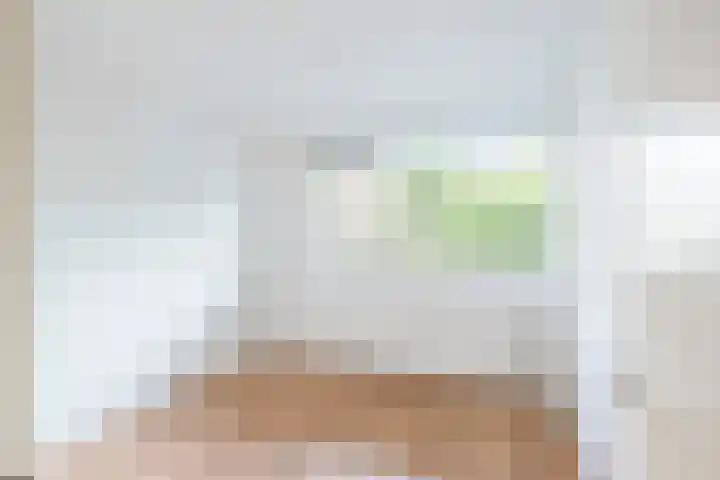 Griegplein 67 Schiedam thumbnail 7