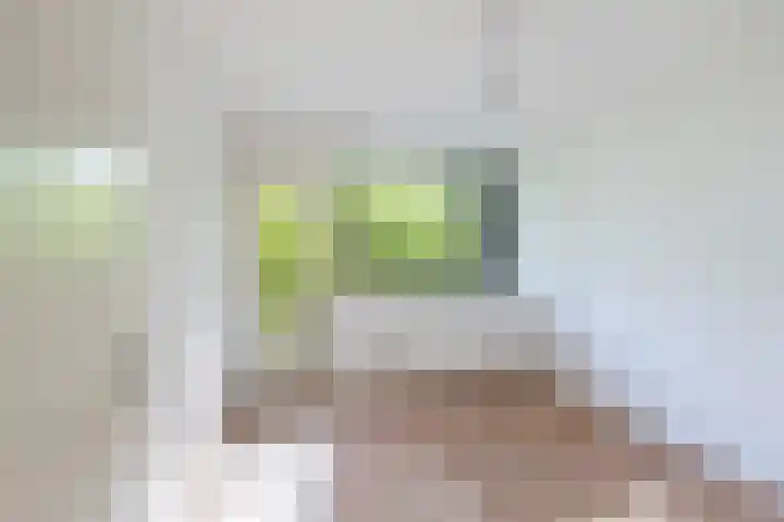 Griegplein 67 Schiedam thumbnail 8