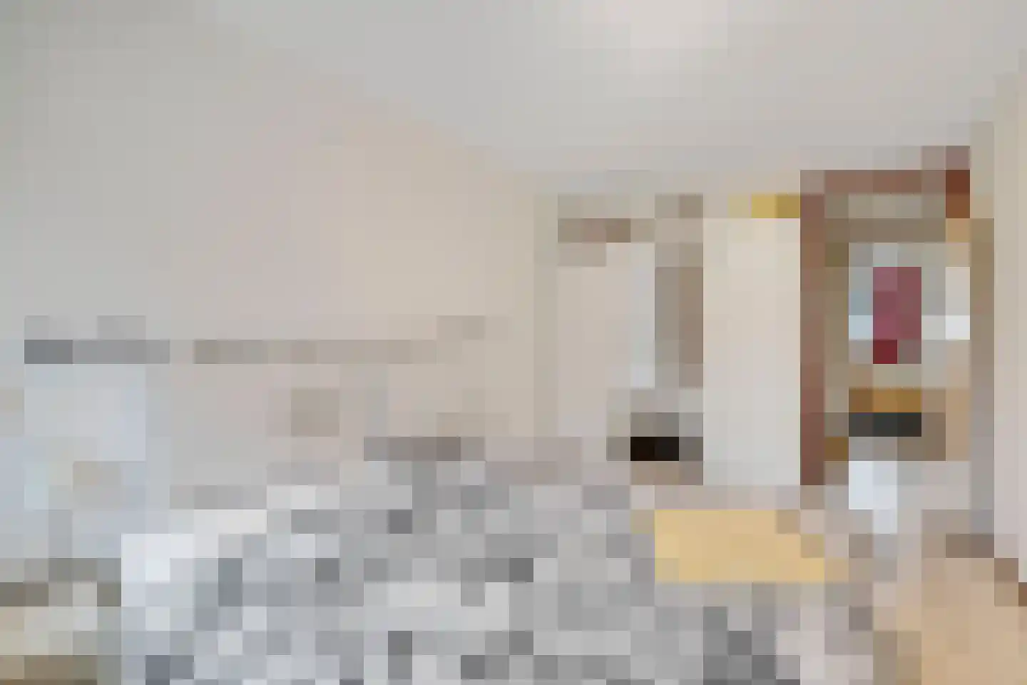 Griegplein 82 Schiedam thumbnail 26