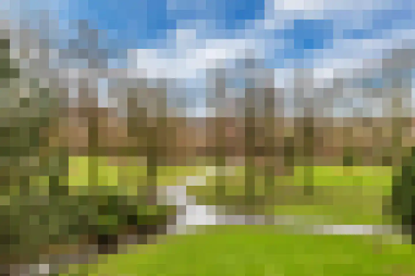 Griegplein 82 Schiedam thumbnail 5