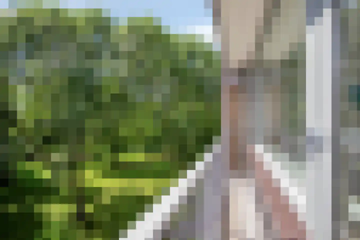 Griegplein 85 Schiedam thumbnail 23
