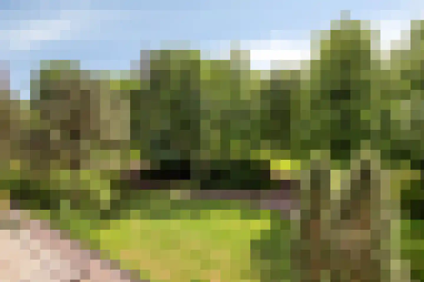 Griegplein 85 Schiedam thumbnail 24