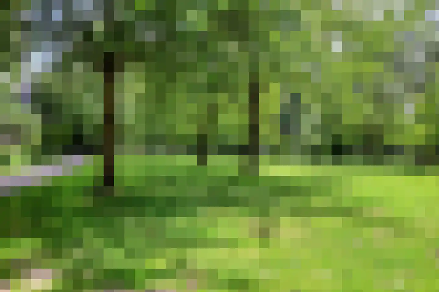 Griegplein 85 Schiedam thumbnail 27