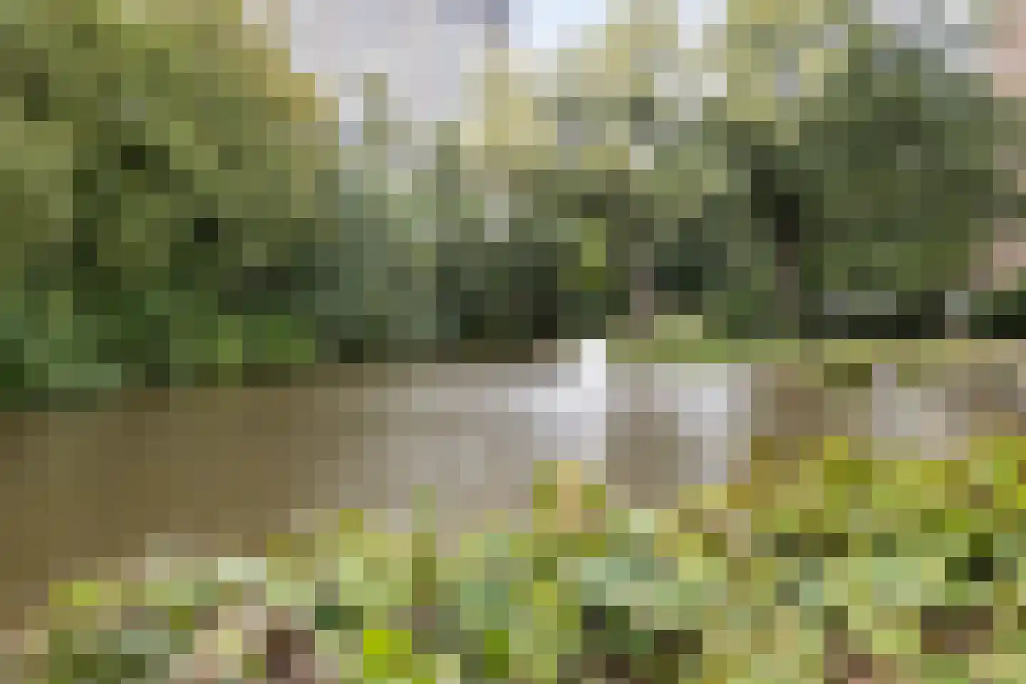 Griegplein 90 Schiedam thumbnail 42