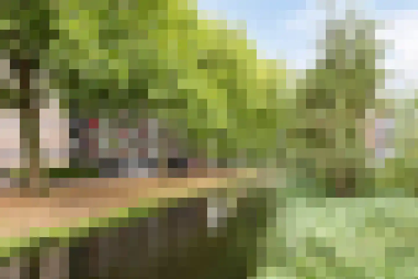 Griegplein 90 Schiedam thumbnail 48