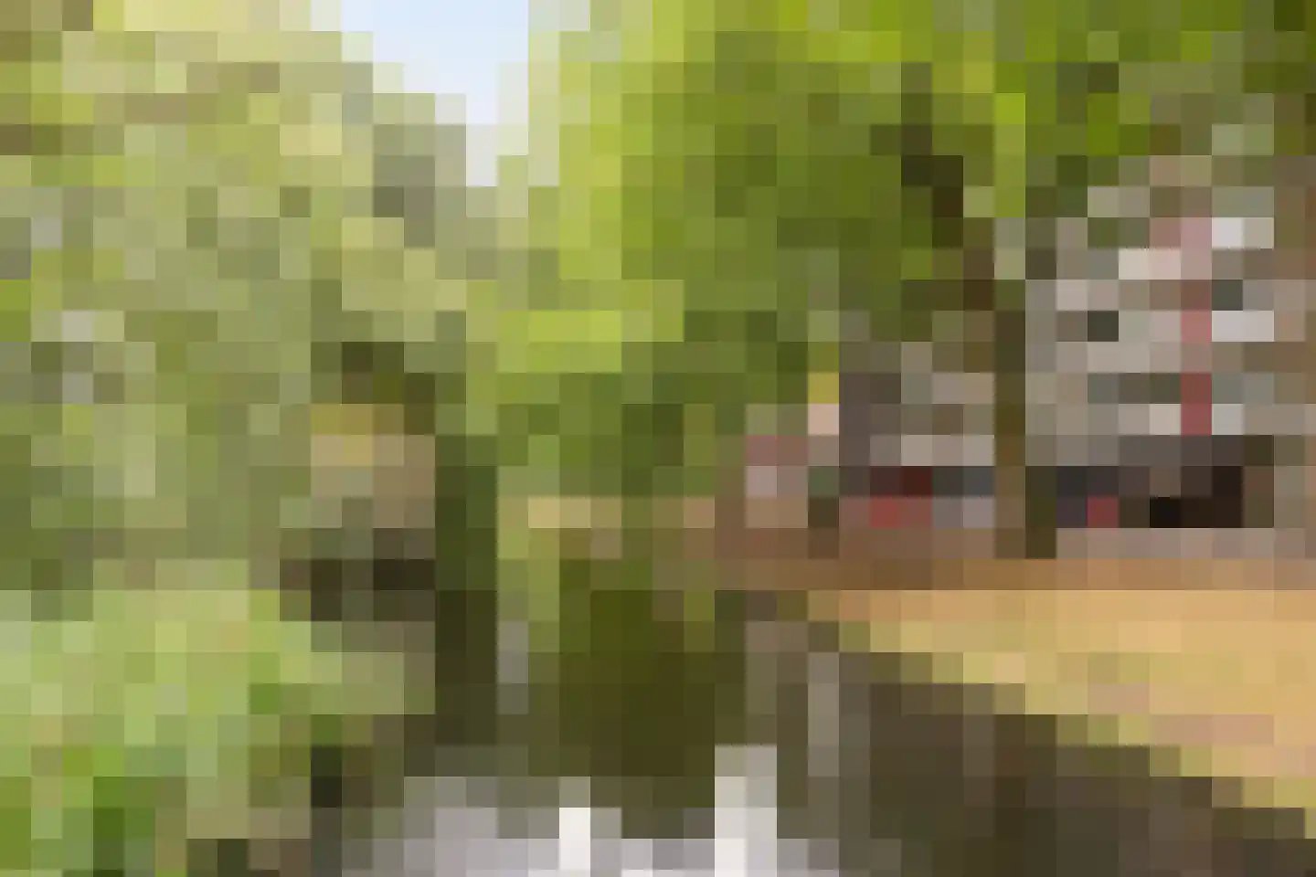 Griegplein 90 Schiedam thumbnail 49