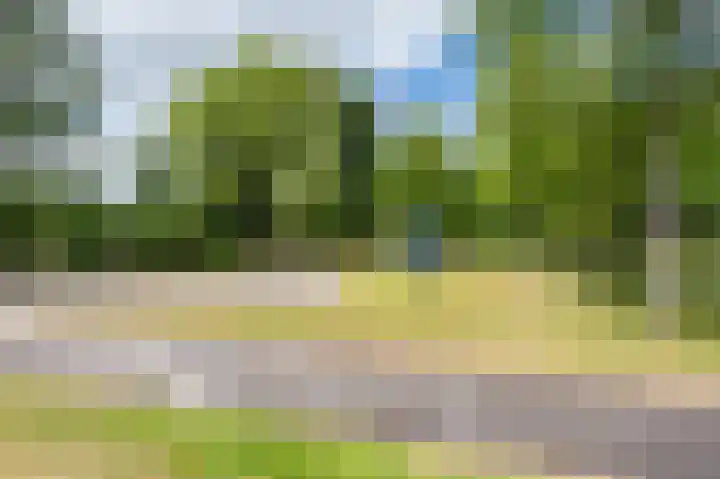 Griegplein 91 Schiedam thumbnail 13