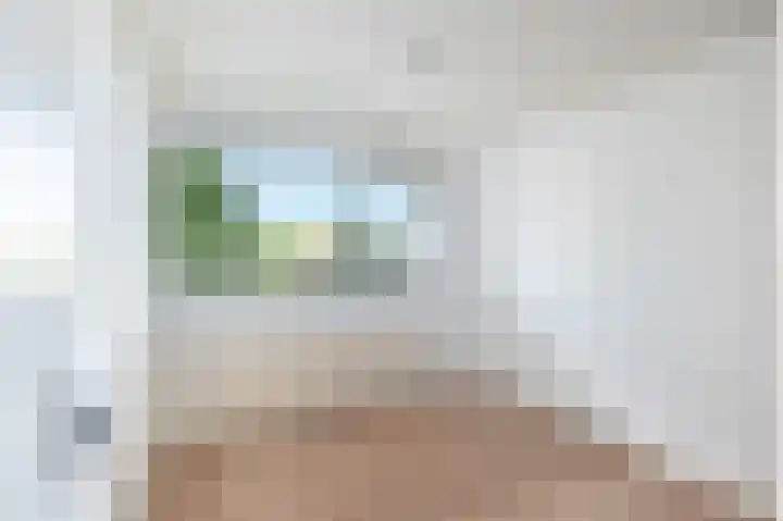 Griegplein 91 Schiedam thumbnail 8