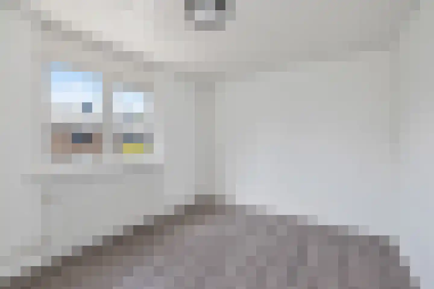 Griegstraat 12 Schagen thumbnail 25