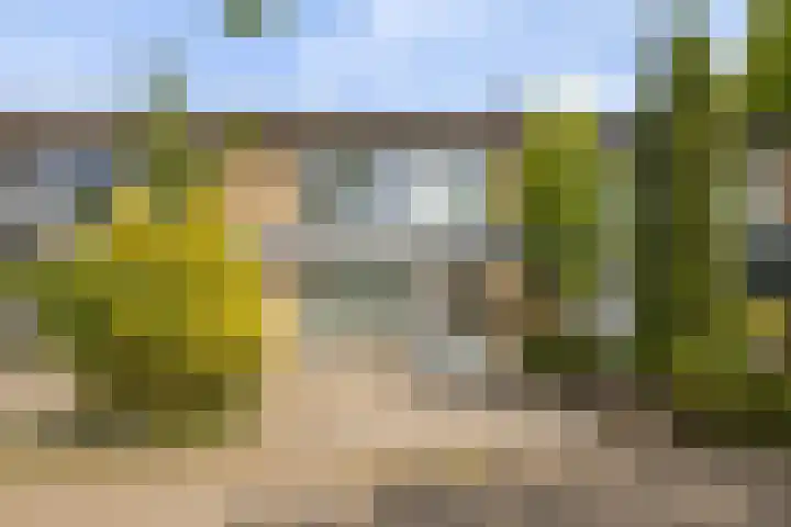 Griegstraat 146 Tilburg thumbnail 35