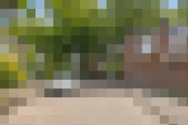 Griegstraat 146 Tilburg thumbnail 36