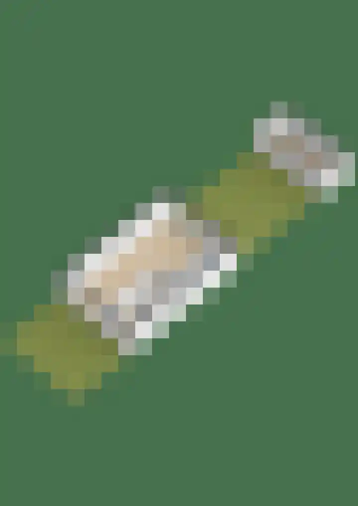 Griegstraat 146 Tilburg thumbnail 42