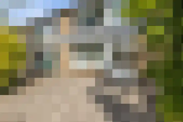 Griegstraat 146 Tilburg thumbnail 5