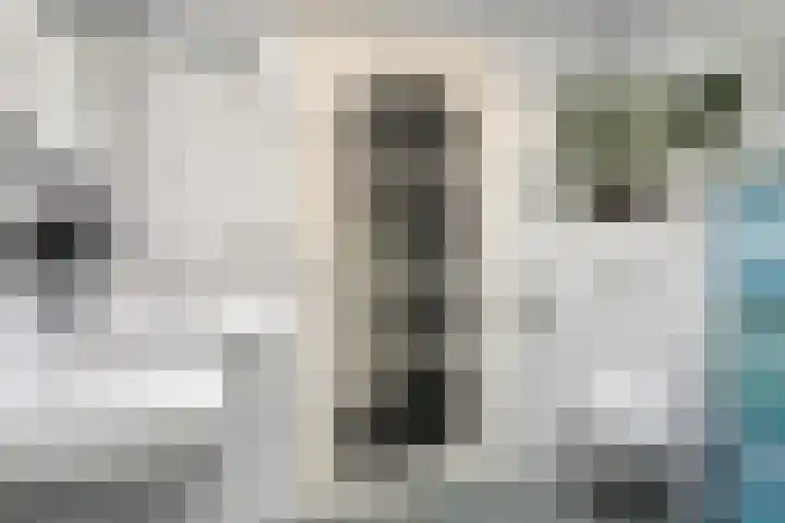 Griegstraat 15 Zuid-Beijerland thumbnail 21