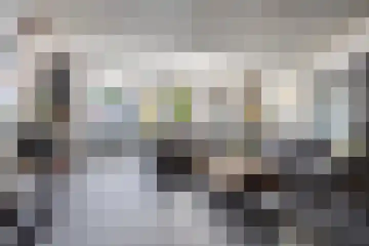 Griegstraat 15 Zuid-Beijerland thumbnail 6