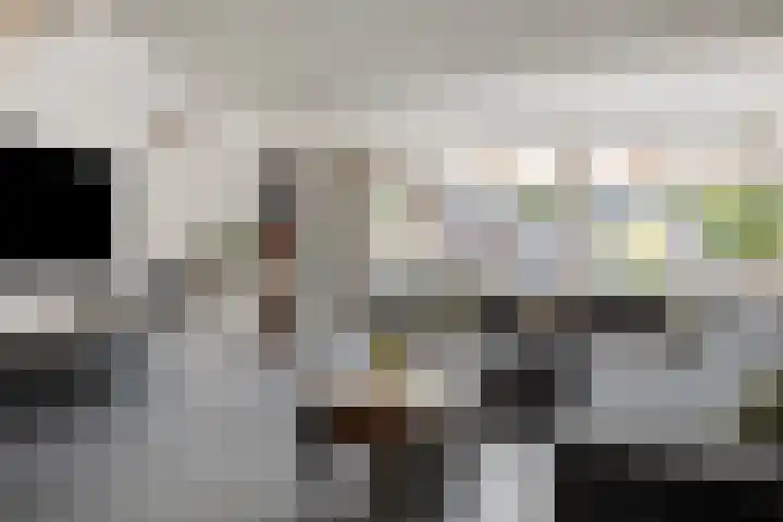 Griegstraat 15 Zuid-Beijerland thumbnail 8