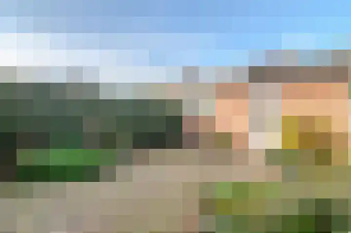 Griegstraat 16 Castricum thumbnail 22