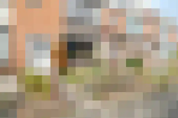 Griegstraat 16 Castricum thumbnail 31