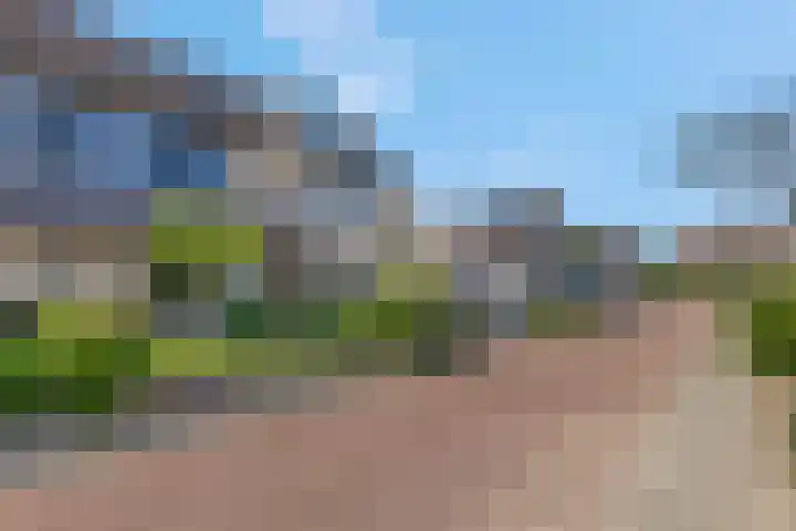 Griegstraat 17 Veenendaal thumbnail 33