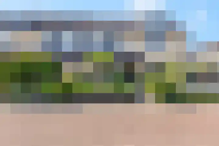 Griegstraat 17 Veenendaal thumbnail 6