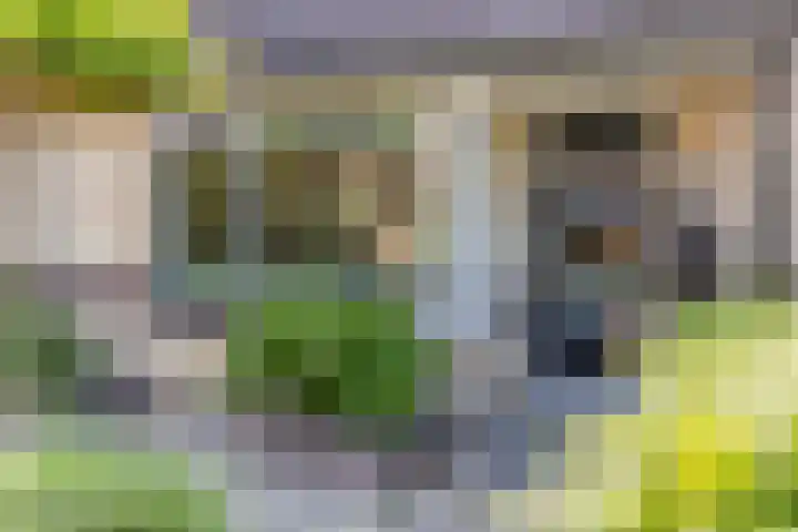 Griegstraat 17 Veenendaal thumbnail 7